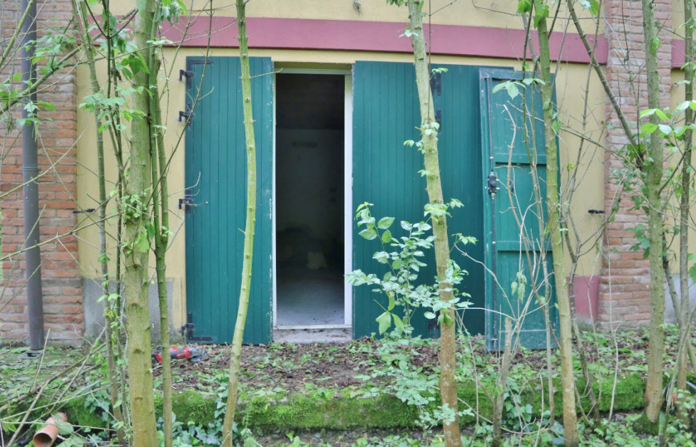 immagine annuncio 4 di 10