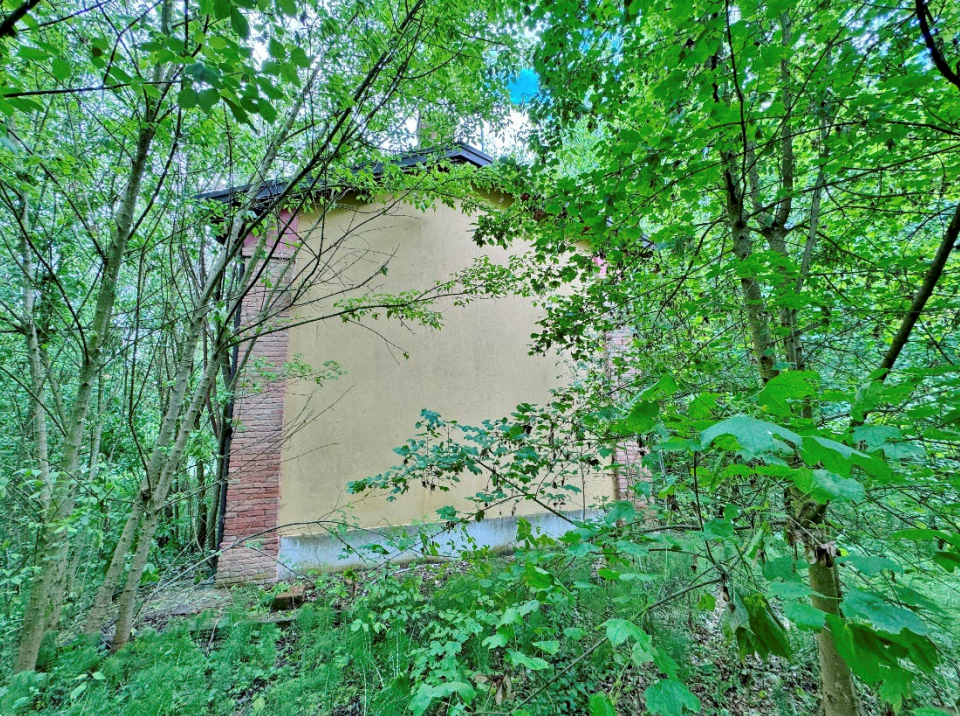 immagine annuncio 5 di 10