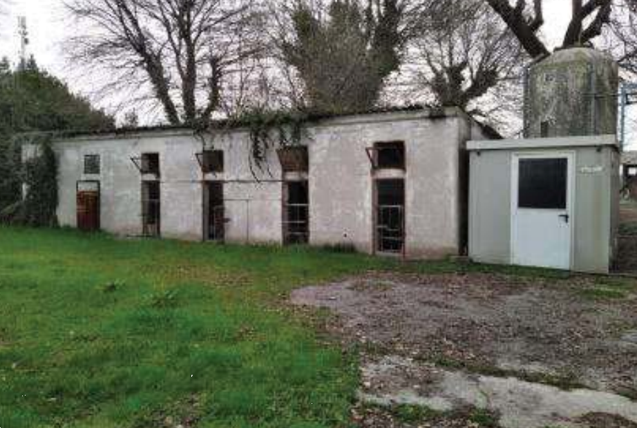 immagine annuncio 8 di 10