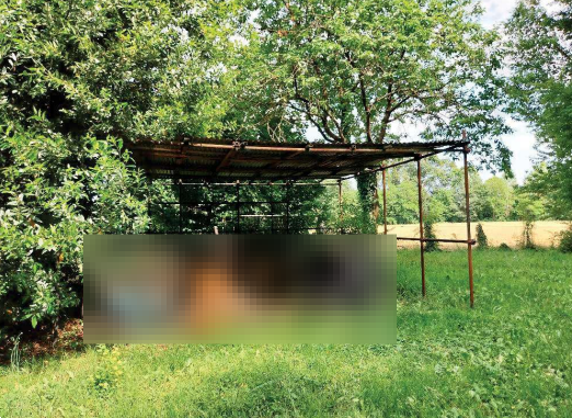 immagine annuncio 2 di 10