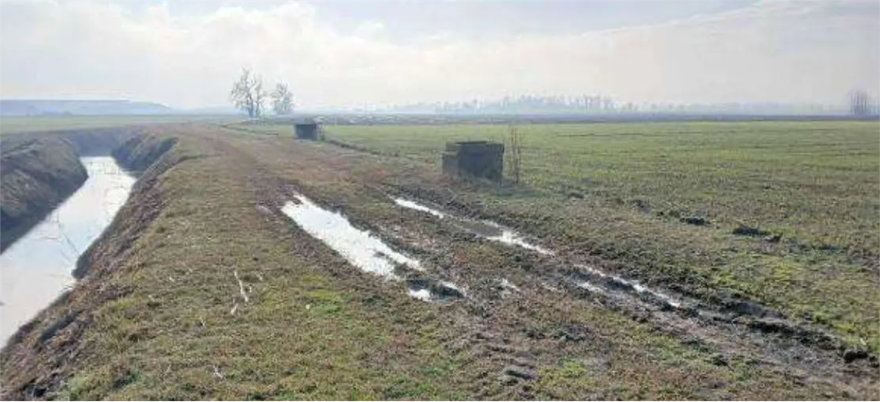 immagine annuncio 7 di 10