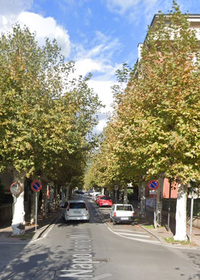 immagine annuncio 5 di 10