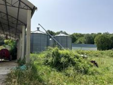 immagine annuncio 5 di 10