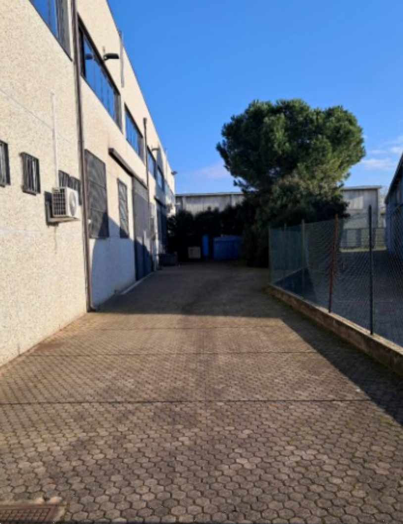 immagine annuncio 1 di 10