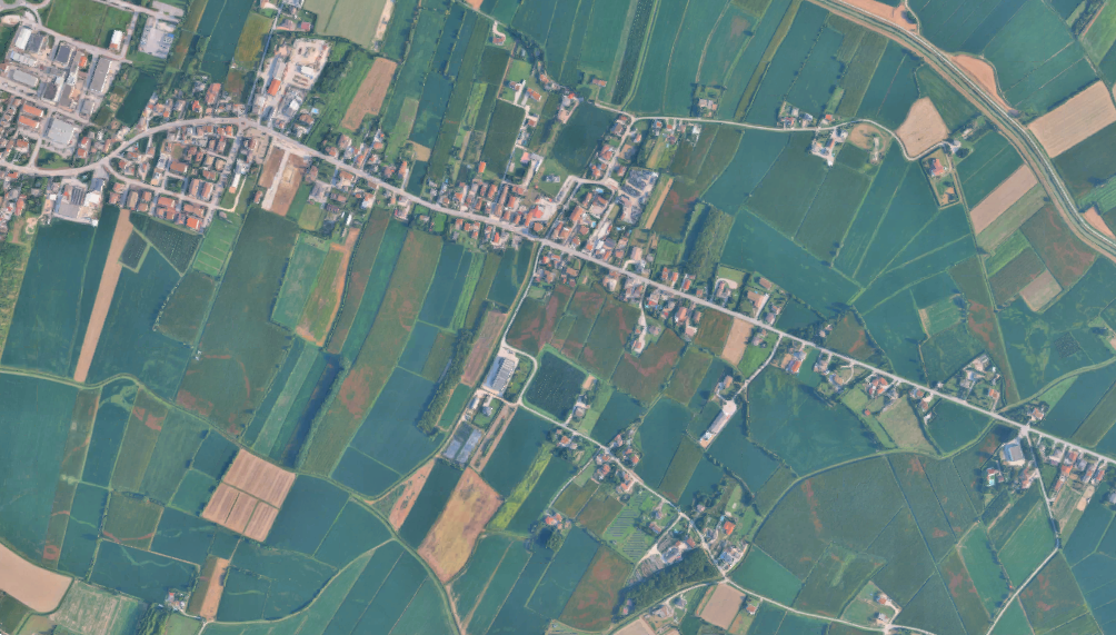 immagine annuncio 3 di 10