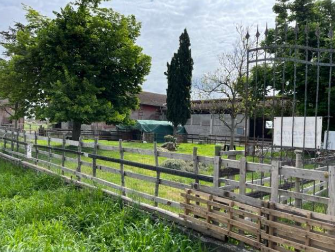 immagine annuncio 6 di 10