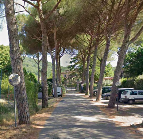 immagine annuncio 8 di 10