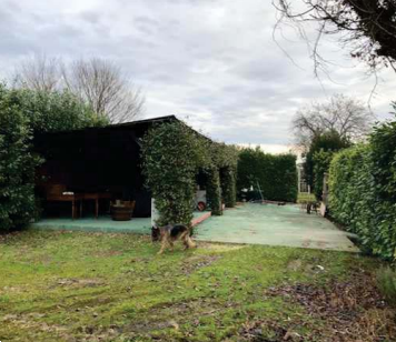 immagine annuncio 3 di 10