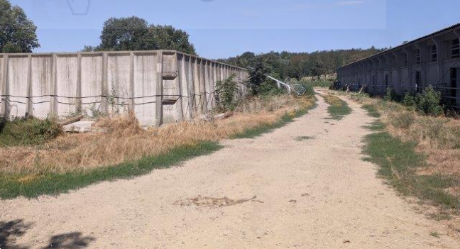 immagine annuncio 2 di 10