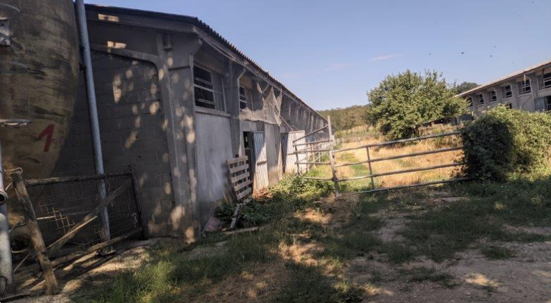 immagine annuncio 7 di 10