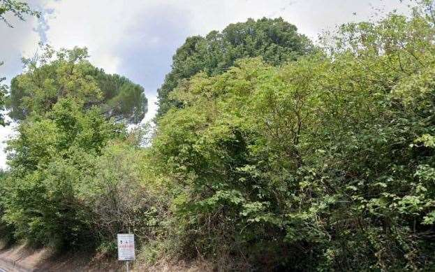 immagine annuncio 3 di 10