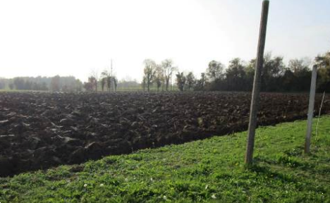 immagine annuncio 7 di 10