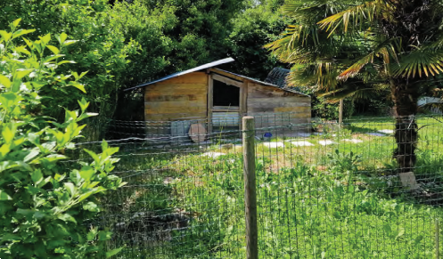 immagine annuncio 5 di 10