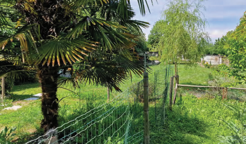 immagine annuncio 6 di 10