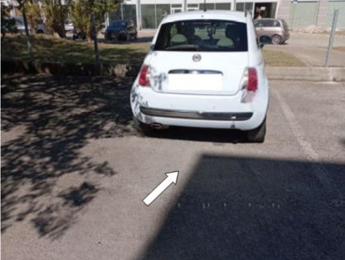 immagine annuncio 1 di 9