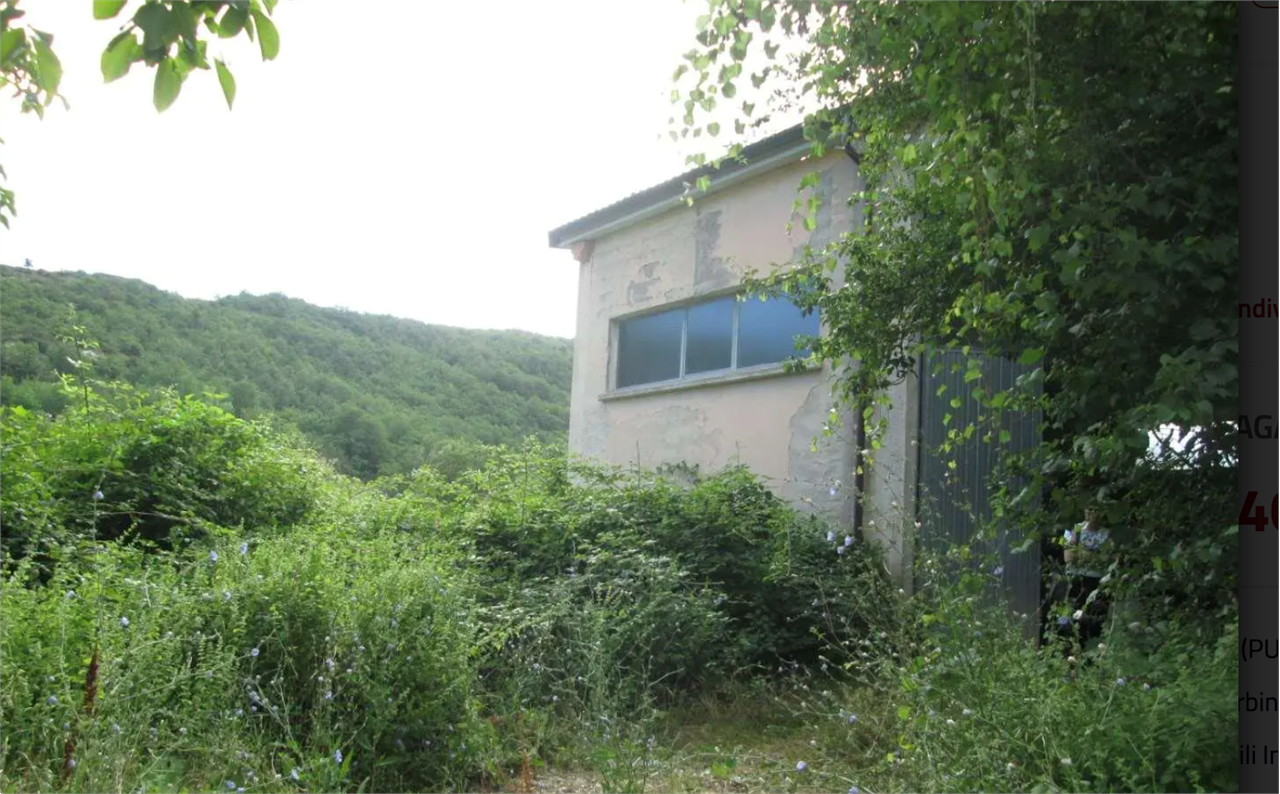 immagine annuncio 3 di 10