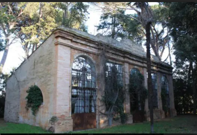 immagine annuncio 5 di 10