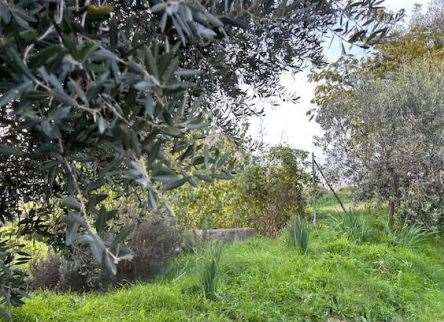 immagine annuncio 3 di 10