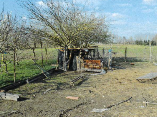 immagine annuncio 6 di 10