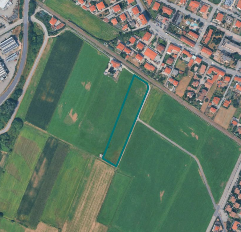 immagine annuncio 2 di 10