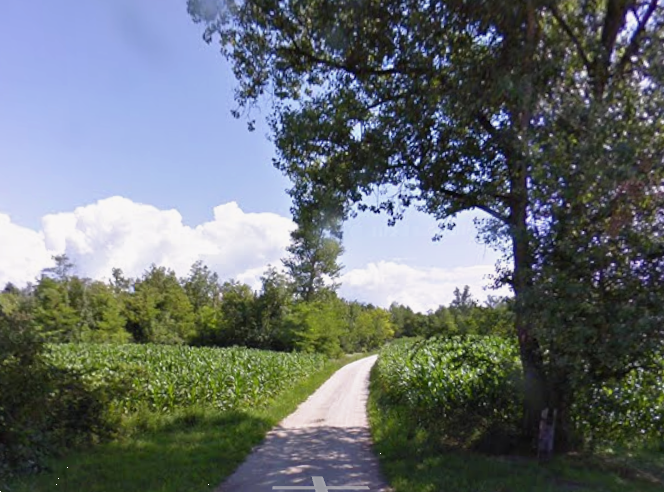 immagine annuncio 6 di 10