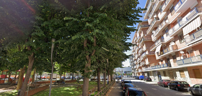 immagine annuncio 1 di 10