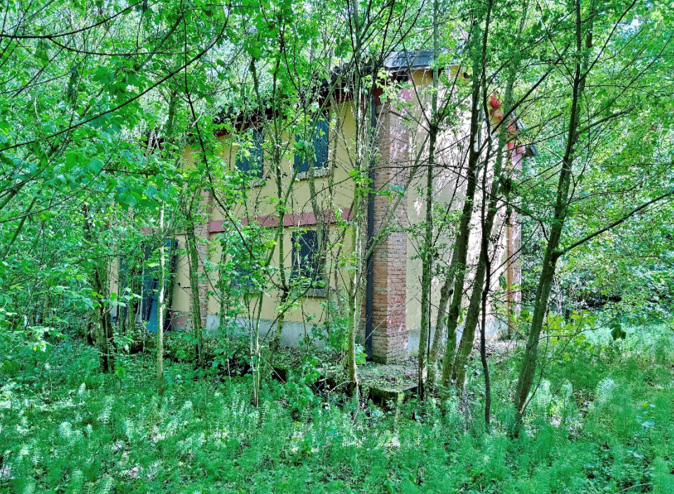 immagine annuncio 4 di 10