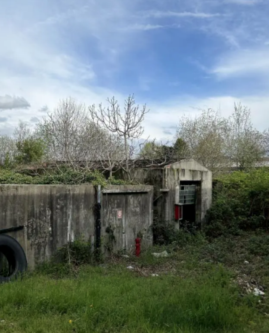 immagine annuncio 5 di 10