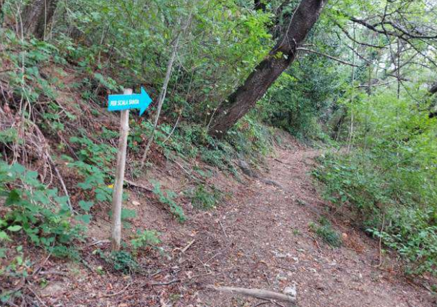 immagine annuncio 5 di 10