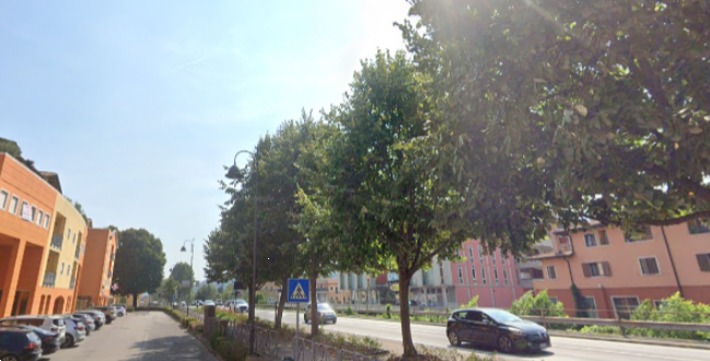 immagine annuncio 2 di 10