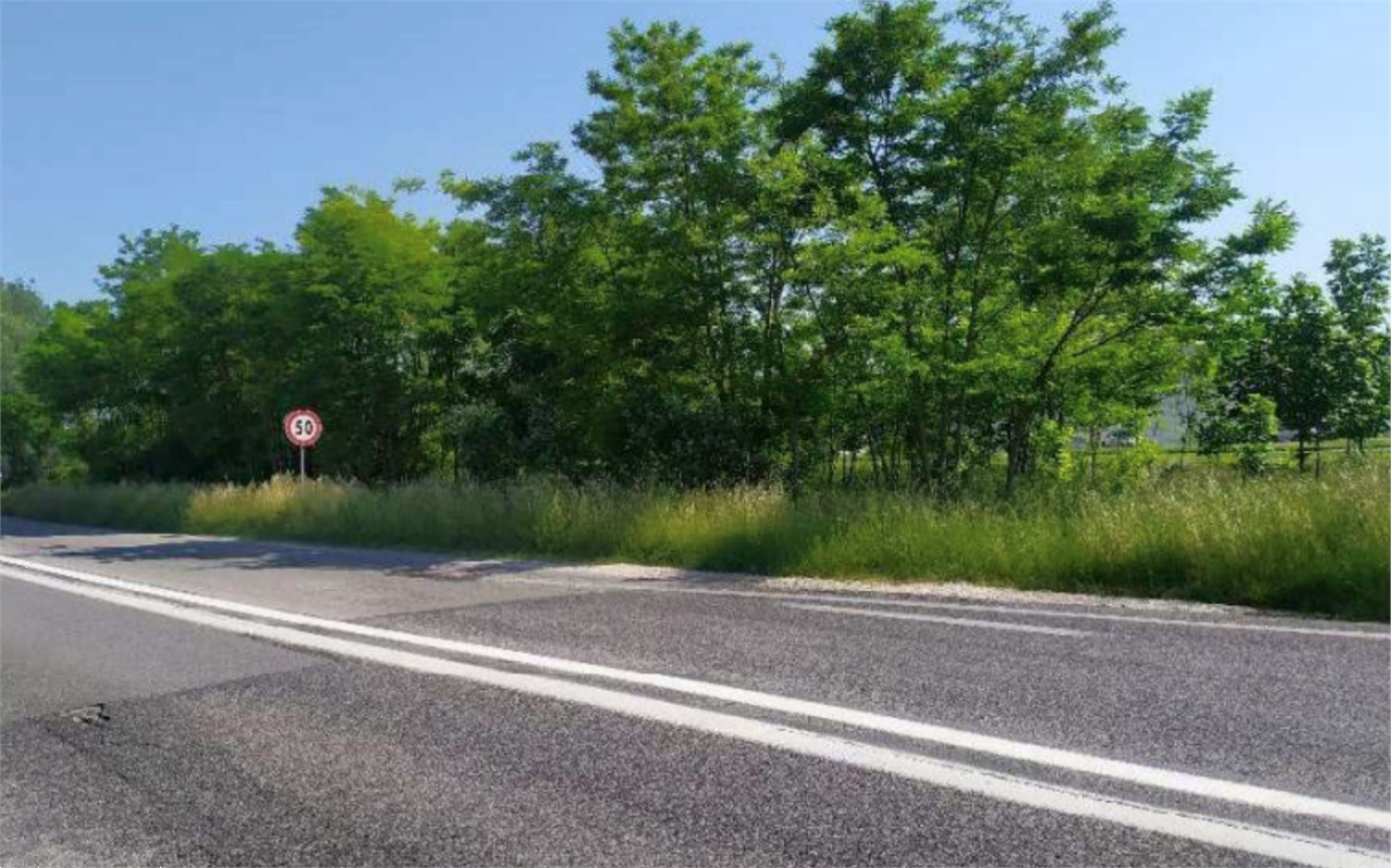 immagine annuncio 1 di 7