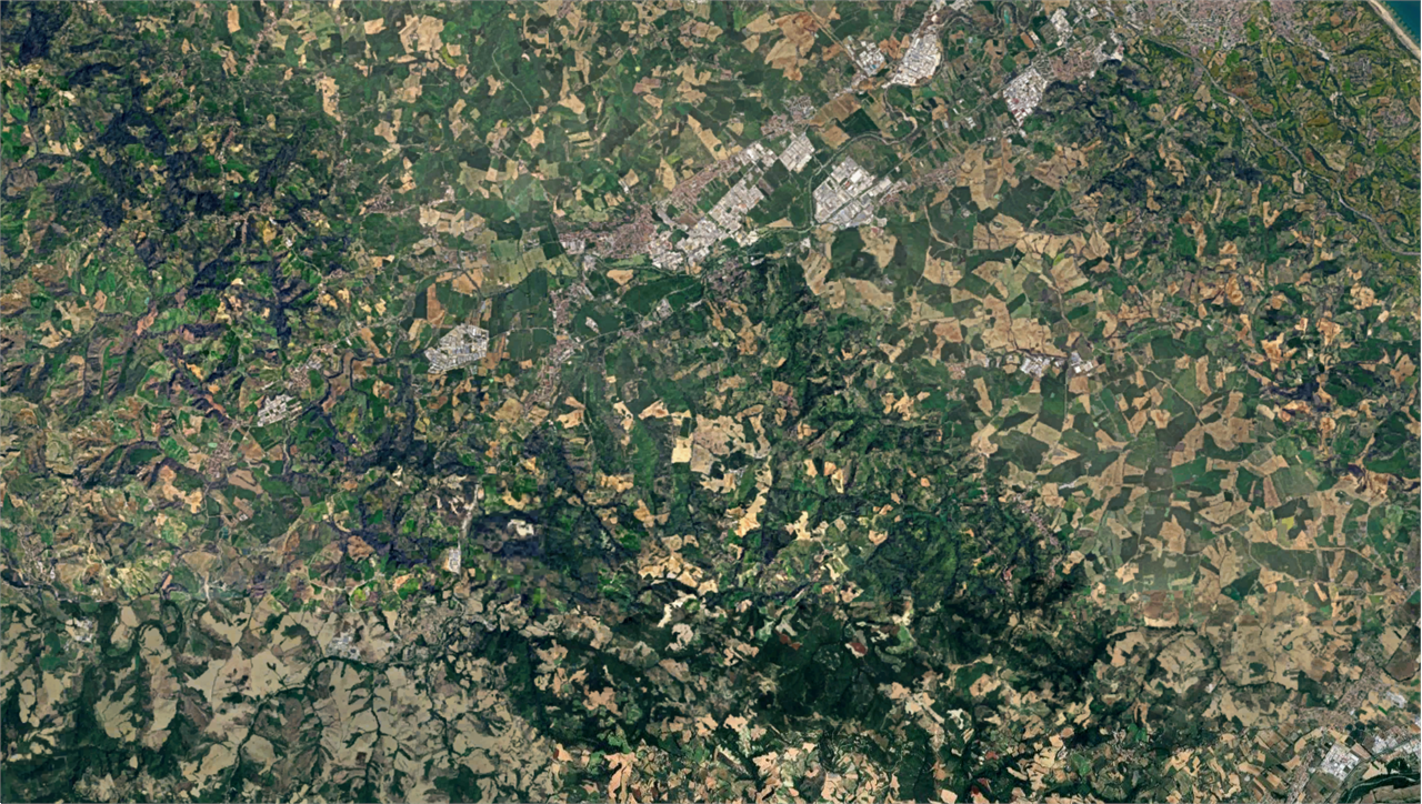 immagine annuncio 5 di 10