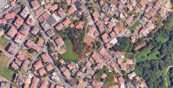 immagine annuncio 4 di 10