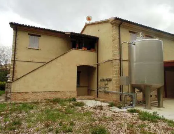 immagine annuncio 4 di 10