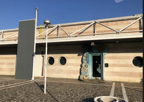 immagine annuncio 4 di 10