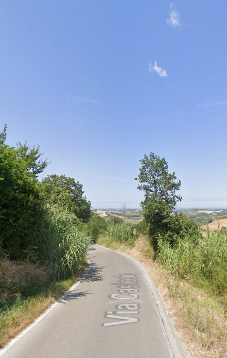 immagine annuncio 2 di 10