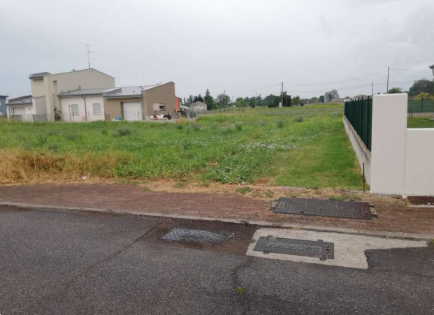 immagine annuncio 3 di 10