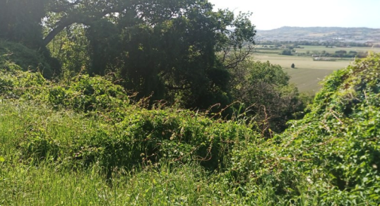 immagine annuncio 1 di 9