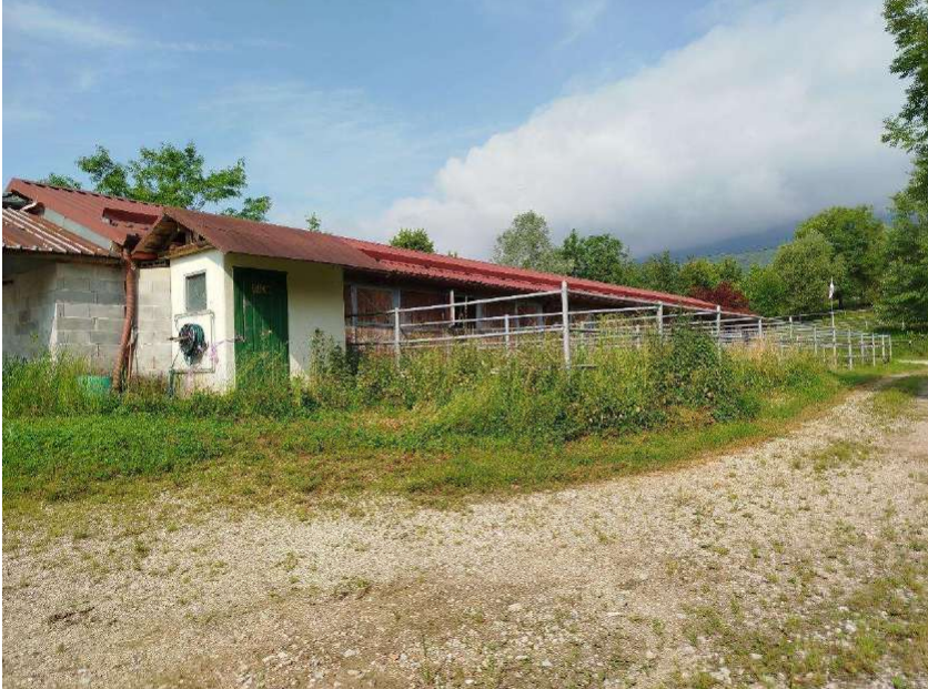 immagine annuncio 2 di 10