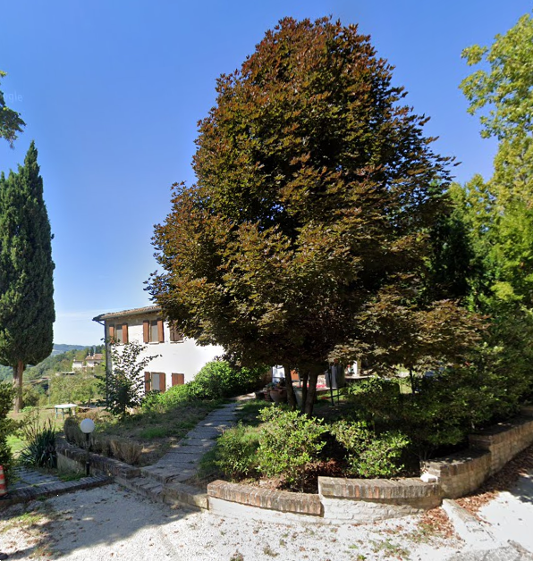 immagine annuncio 8 di 10