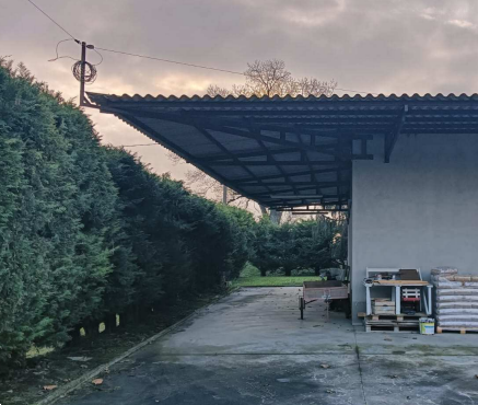 immagine annuncio 2 di 10