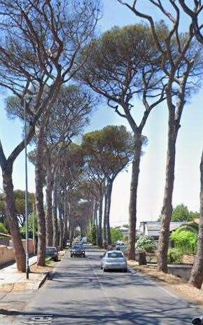 immagine annuncio 4 di 10