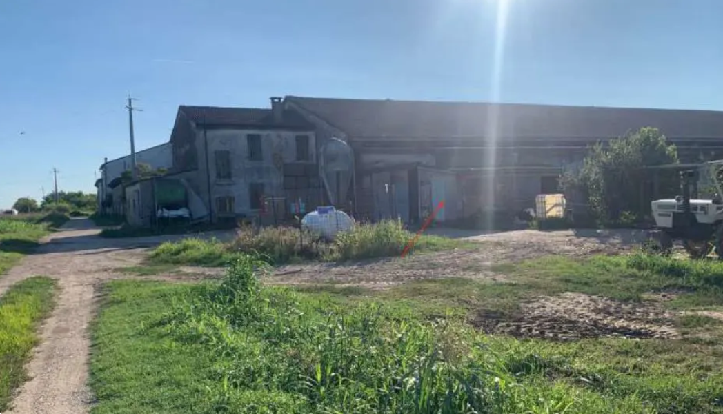 immagine annuncio 4 di 10