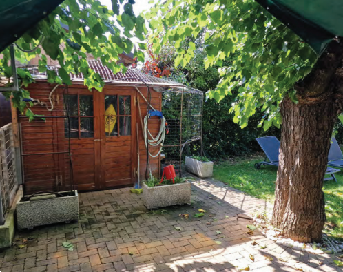 immagine annuncio 3 di 10