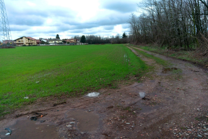 immagine annuncio 6 di 10