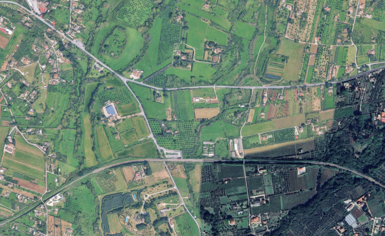 immagine annuncio 3 di 10