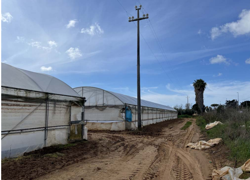 immagine annuncio 1 di 10