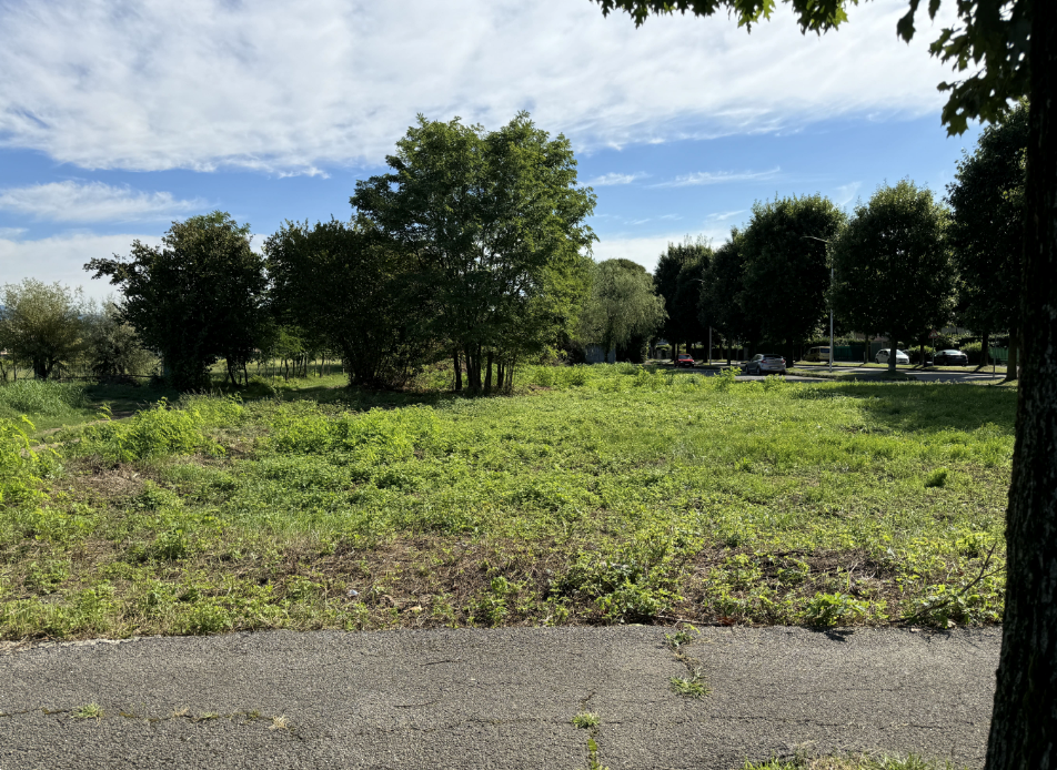 immagine annuncio 1 di 7