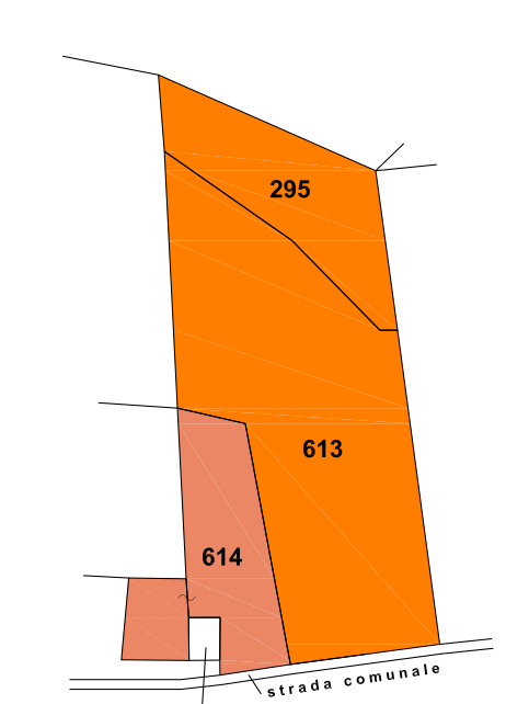 immagine annuncio 8 di 10