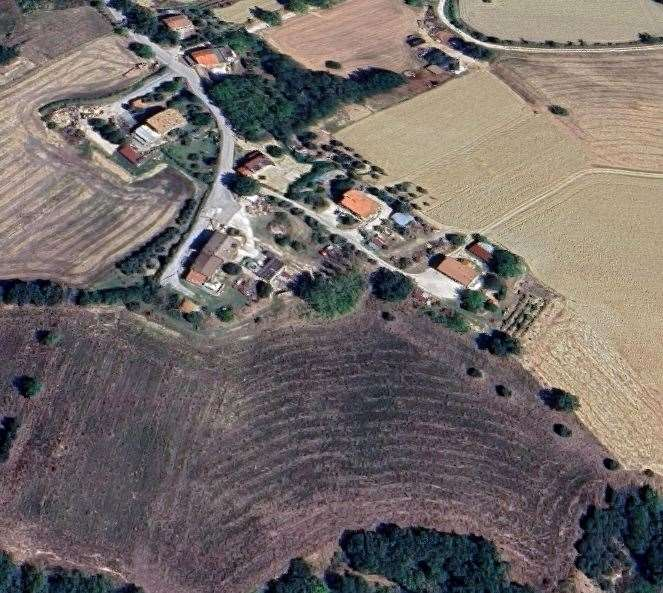 immagine annuncio 2 di 10